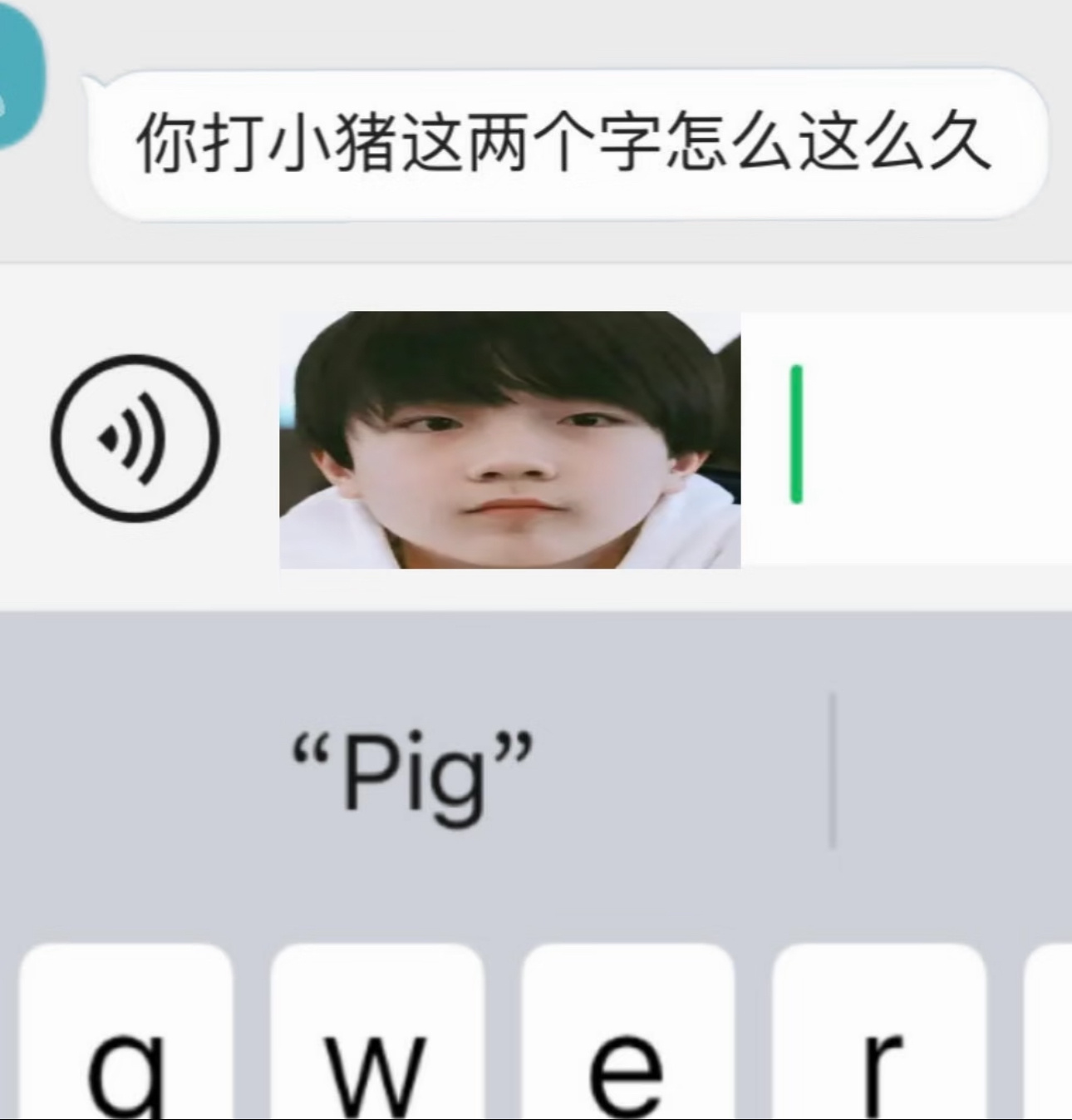 告告呀小香猪呀