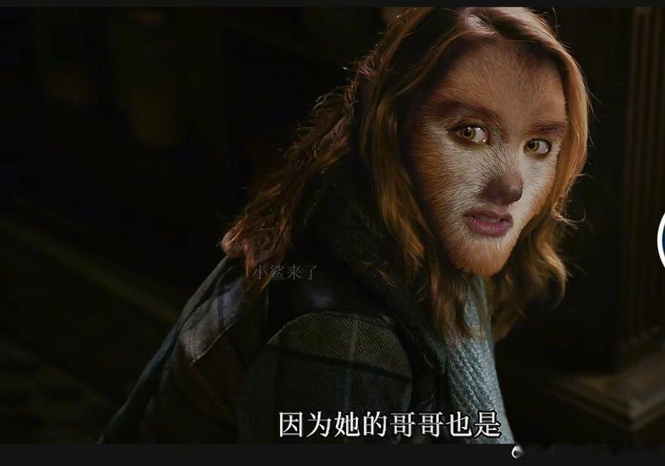 小狐狸还挺可爱，格林生物的食物链是啥啊，格林是猎人，蜥蜴怪最底层，狼人跟吸血鬼里