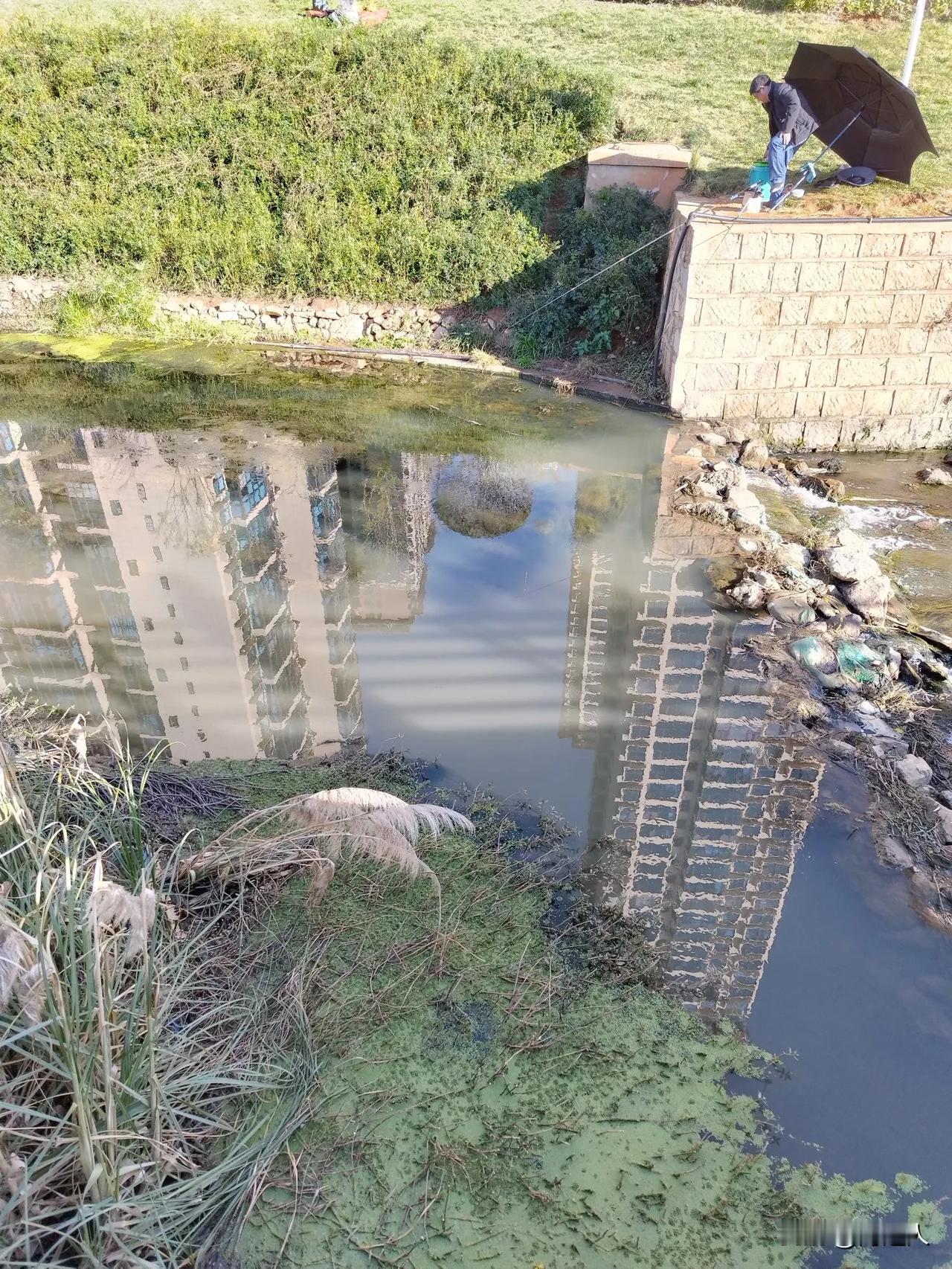 鱼也没有还钓什么鱼？
我经常在昆明盘龙江和金汁河边散步，看到时常有人在钓鱼。河水