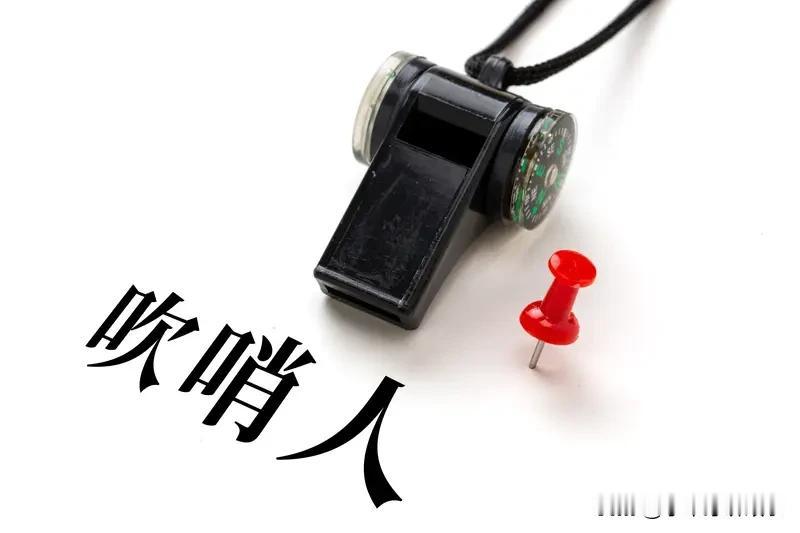 震惊！“吹哨人”奖金大幅上调，最高可达百万，监管部门严打违法
近日，证监会与市场