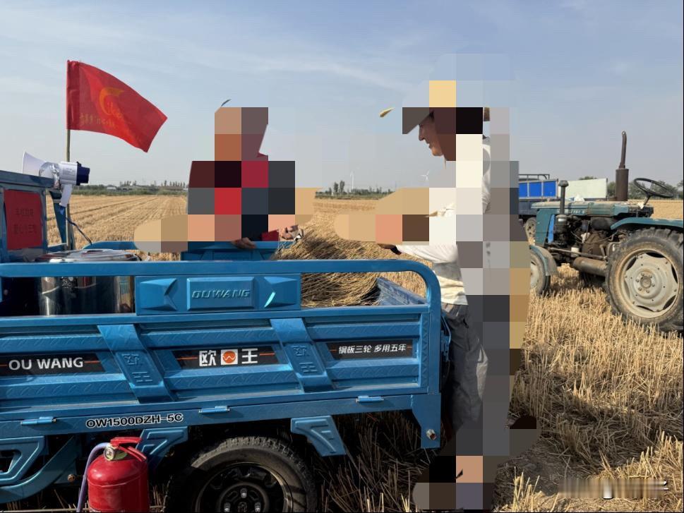 从北京出发往呼市走，越靠近目的地，心里越觉得“凉”。放眼望去全是褐色土地，草原还