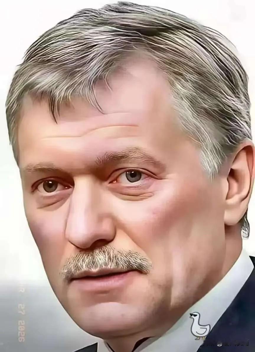 俄罗斯传来新消息！
4月30日，俄罗斯总统新闻秘书佩斯科夫公开表示，总统普京尚未