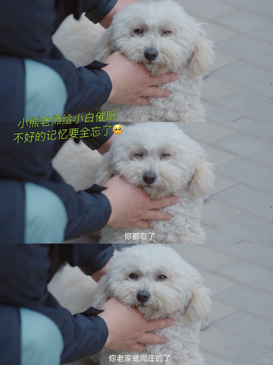 小白有个臭毛病现在也改不掉！就瞬间觉得它