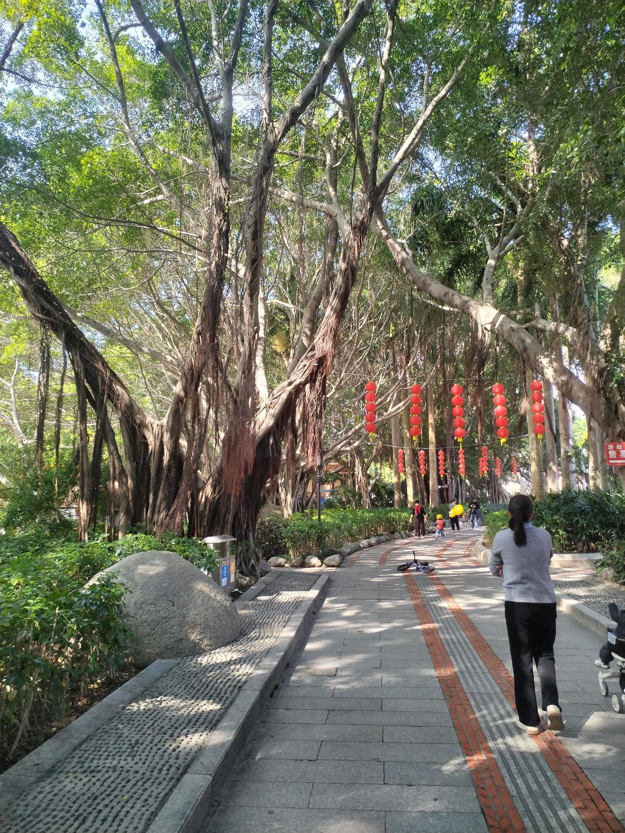 今天气温24度，又是一个明媚春天到来了，恰逢辞旧迎新的日子，干净整洁的街道，树上