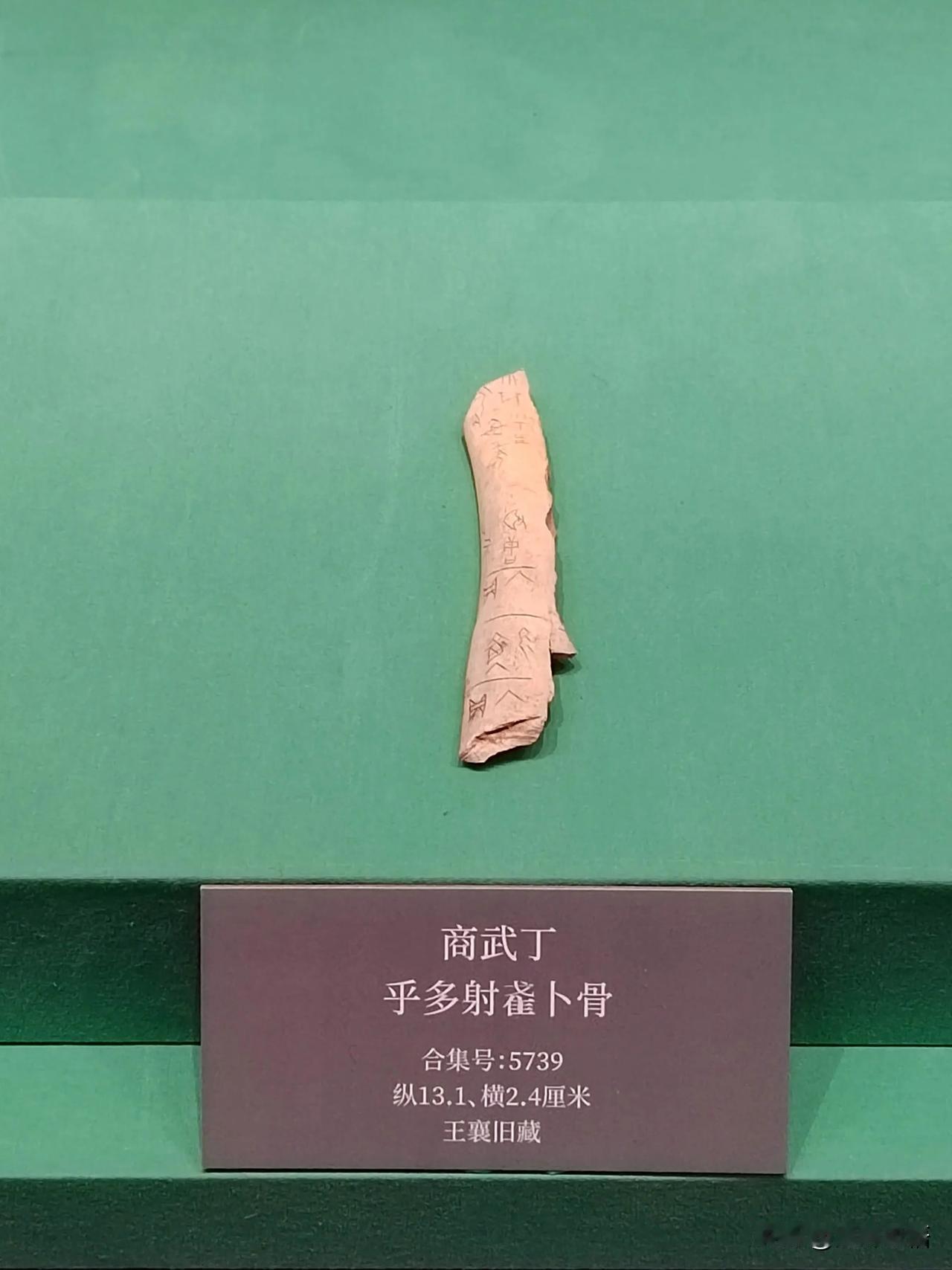 王入大邑商（八）
——天津博物馆藏武丁卜辞探亲展