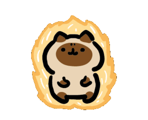 元代记载的热闹延续！3天三大环节，火把照亮盛装身影，歌舞欢呼里全是热烈，太有感染