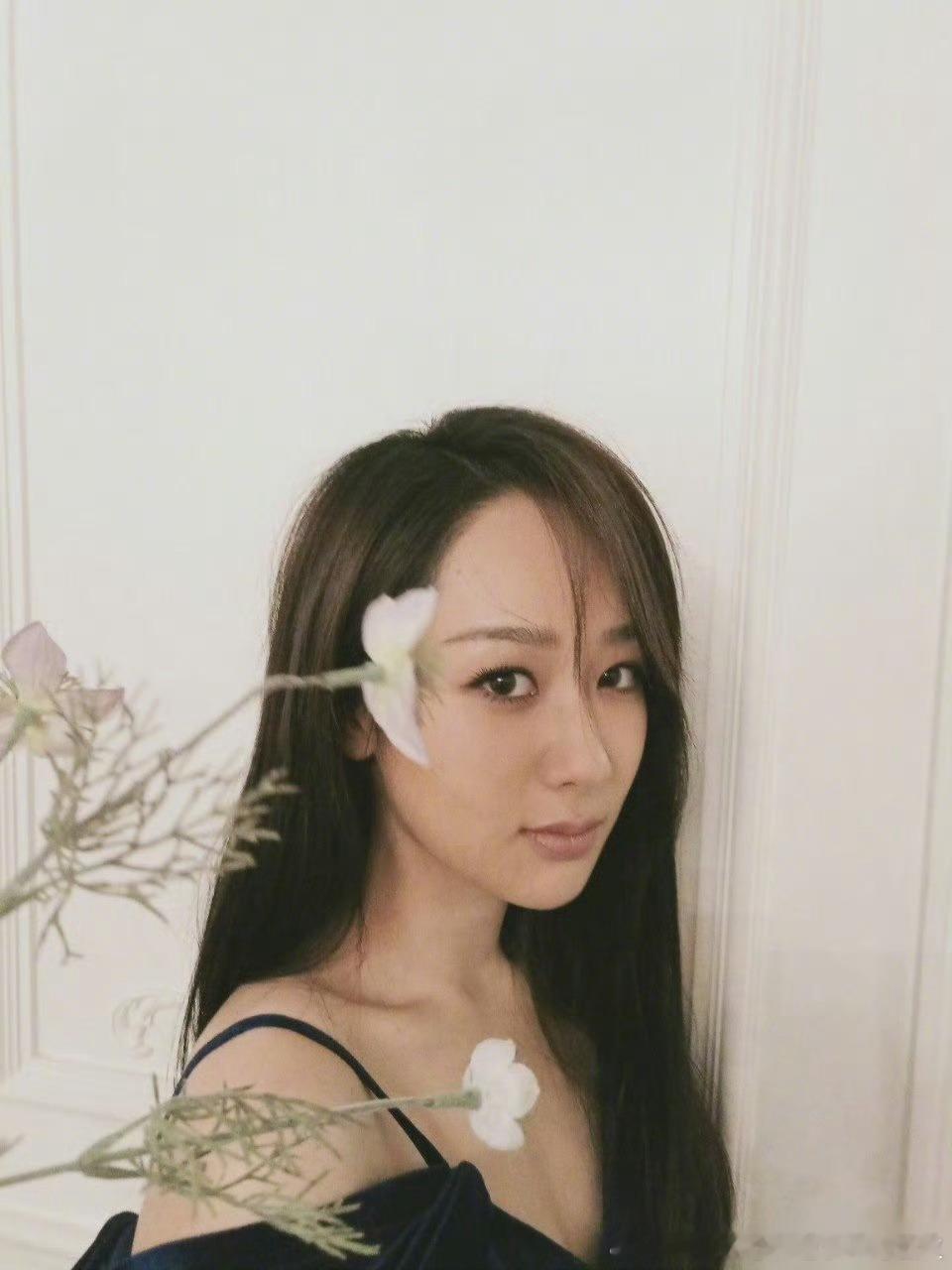 生命树回应金鹰奖7提带带我们女主的名字，ok？？？白玉兰的热搜盛况，记得？？？金