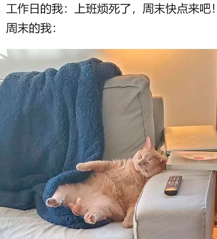 你的周末过得怎么样 ​​​