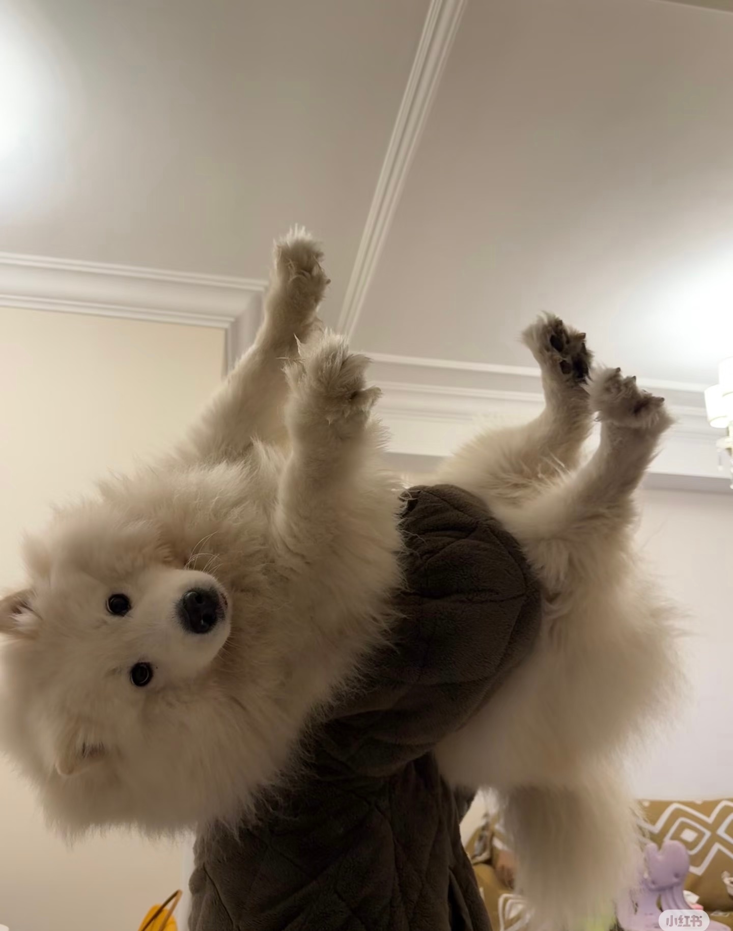 天冷了，大家出门戴好御寒装备 