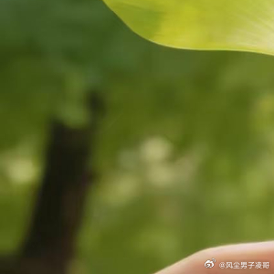 生活手记人活到通透，不过是与自己和解，与世事释怀。不纠结过往，不执念得失，不渴求