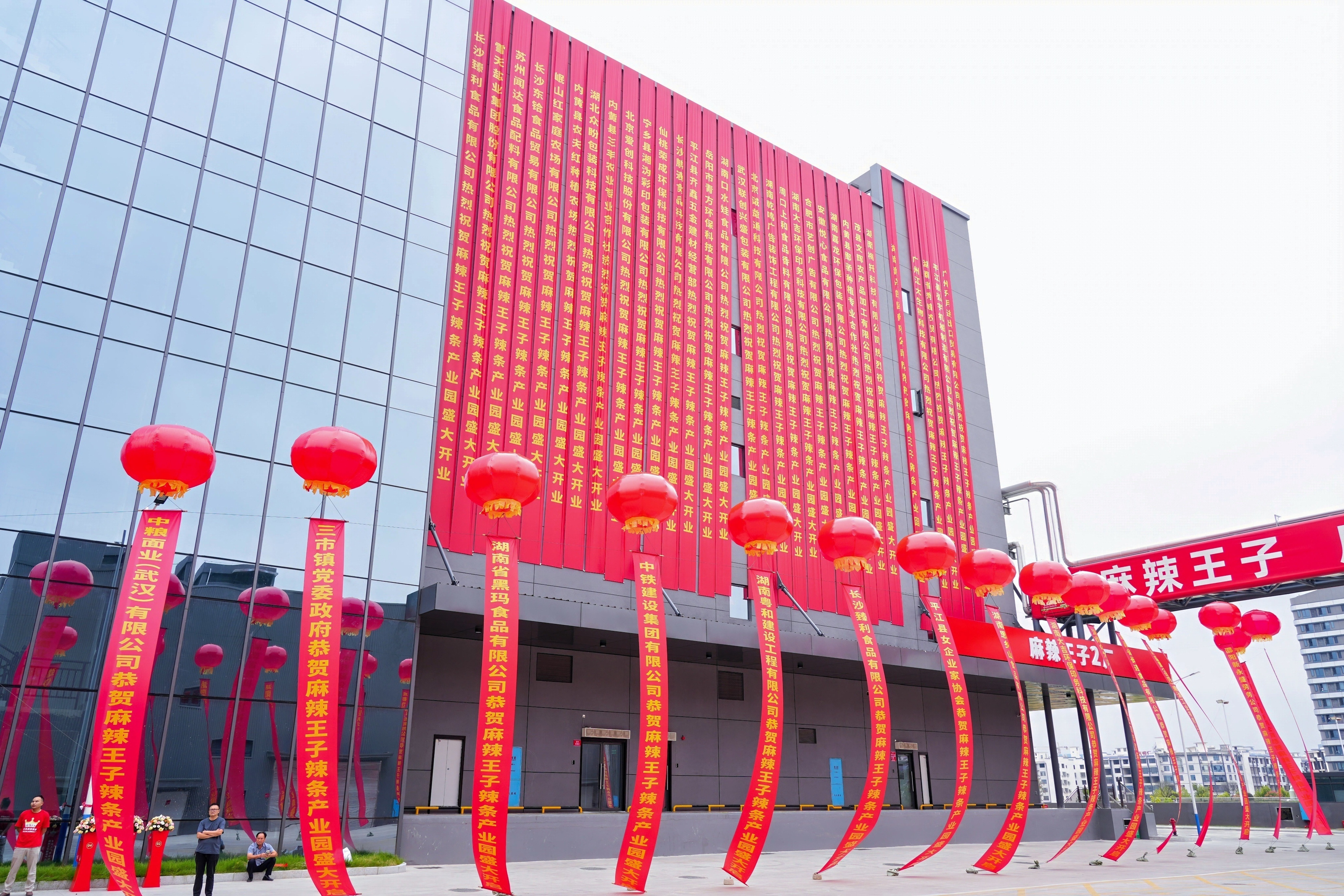 麻辣王子如何一年生产100亿根辣条 、麻辣王子花20多亿建新工厂作为吃麻辣王子好