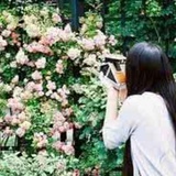 玲涵热读科学探索