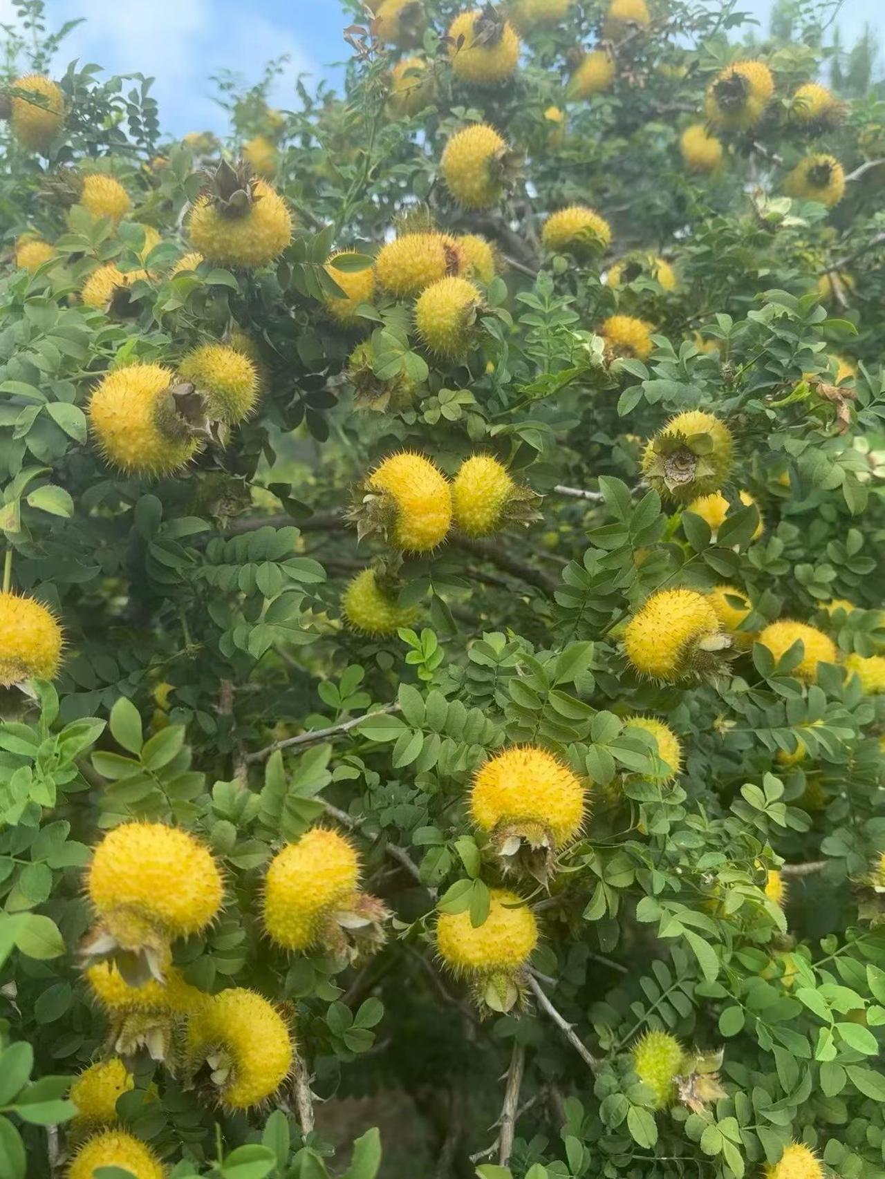 很多人为什么来股市炒股，最简单最直接的目的，就是来股市赚钱的！但正在因为有这样的