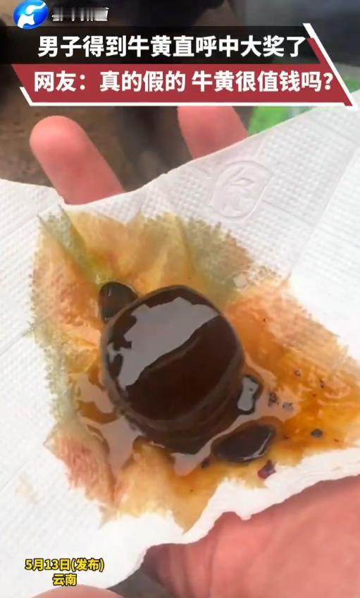5月13日，云南一男子在处理牛内脏时，随手一翻找出了个不起眼的异物。等他看清这东