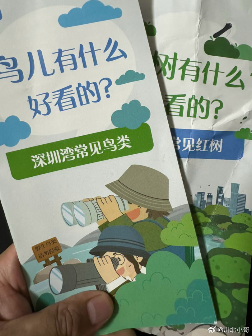 在深圳遇见绿色未来今天来到红树林生态公园，让我感触颇深的四件事：一是领队的讲解老