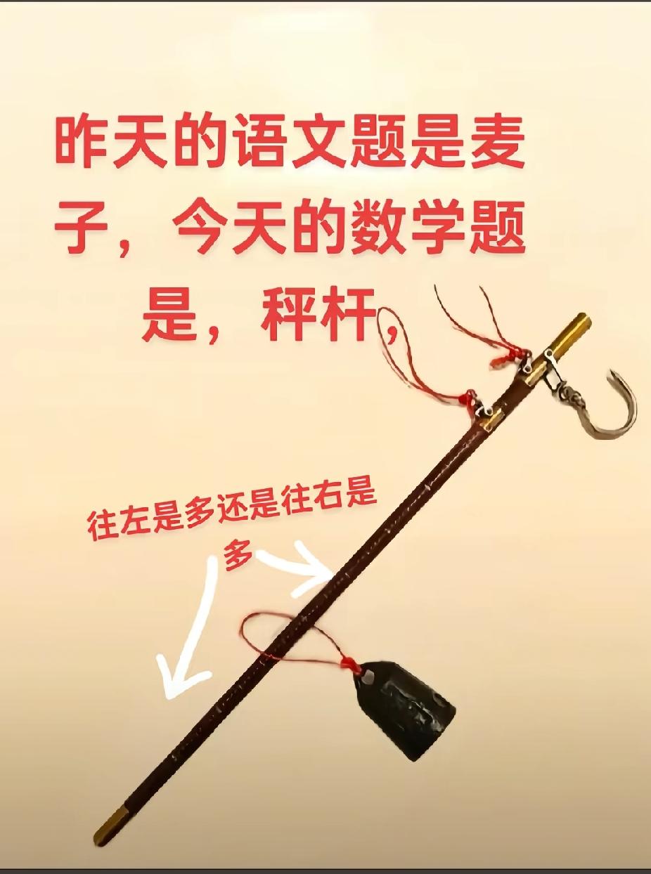 在这个高科技为王的时代
昨天语文考麦子
今天数学考杆秤
秤钩挂货，提绳是支点
秤