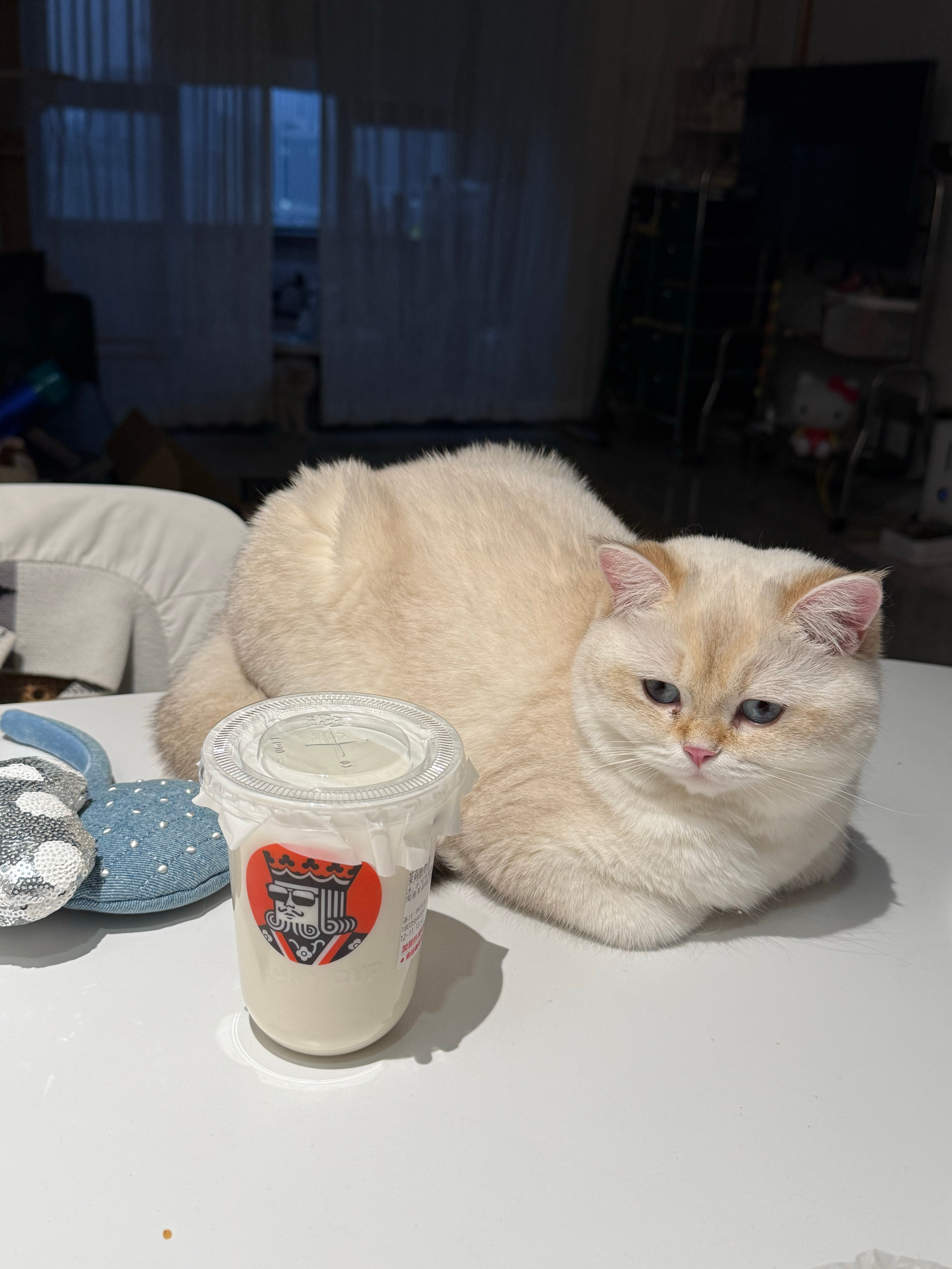 我一杯 老己一杯海盐玫瑰轻乳茶➕茉莉酸奶昔 两个都超好喝... 