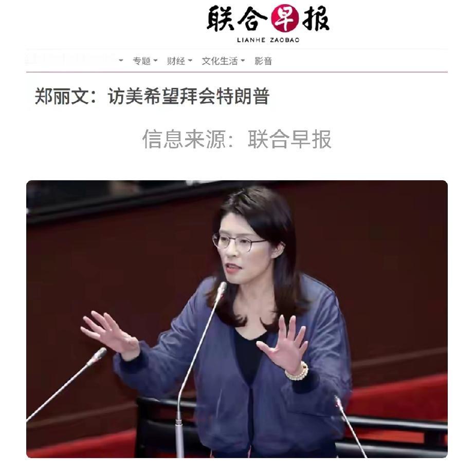 郑丽文想见特朗普，打算玩一套走钢丝

为了选票，她想在大陆和美国之间找平衡点，玩