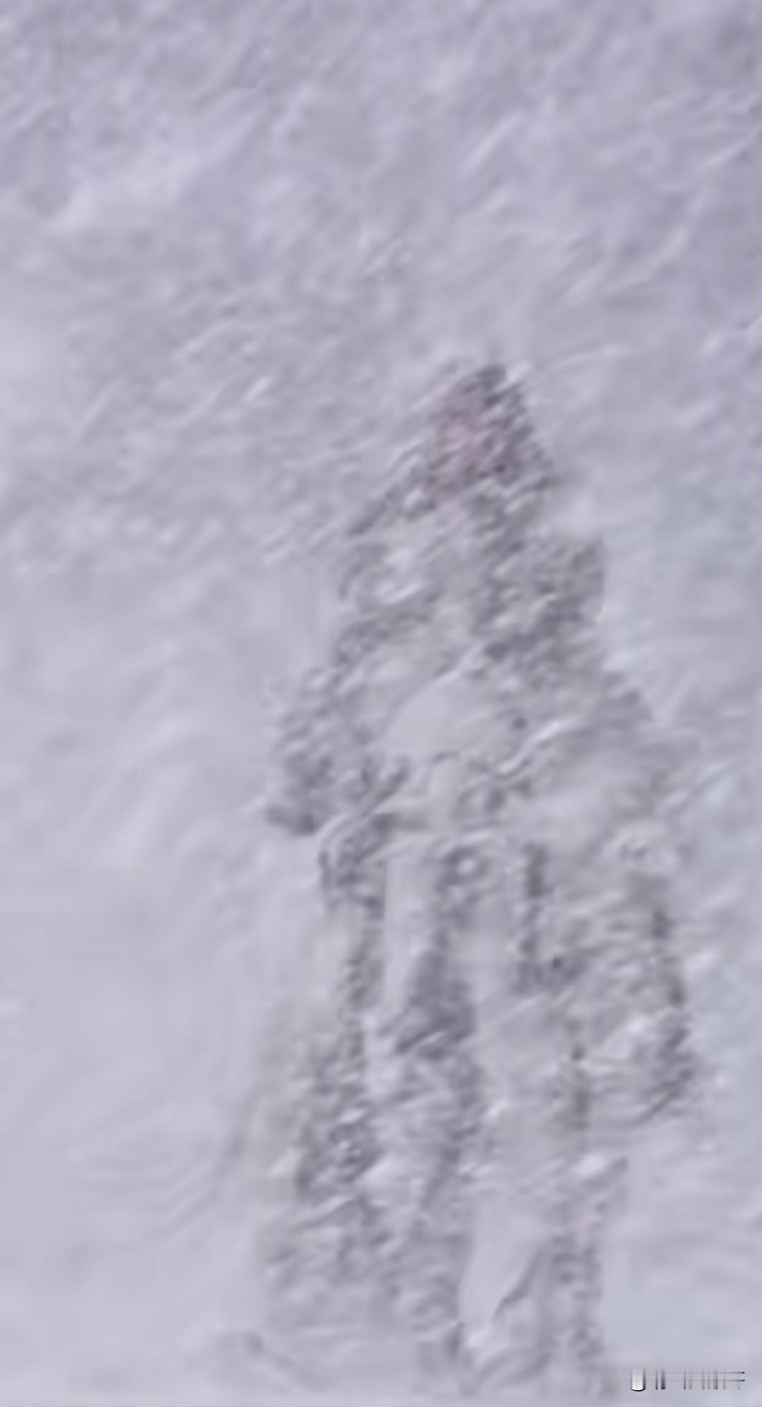 真有5米之内看不清人的大雪吗？