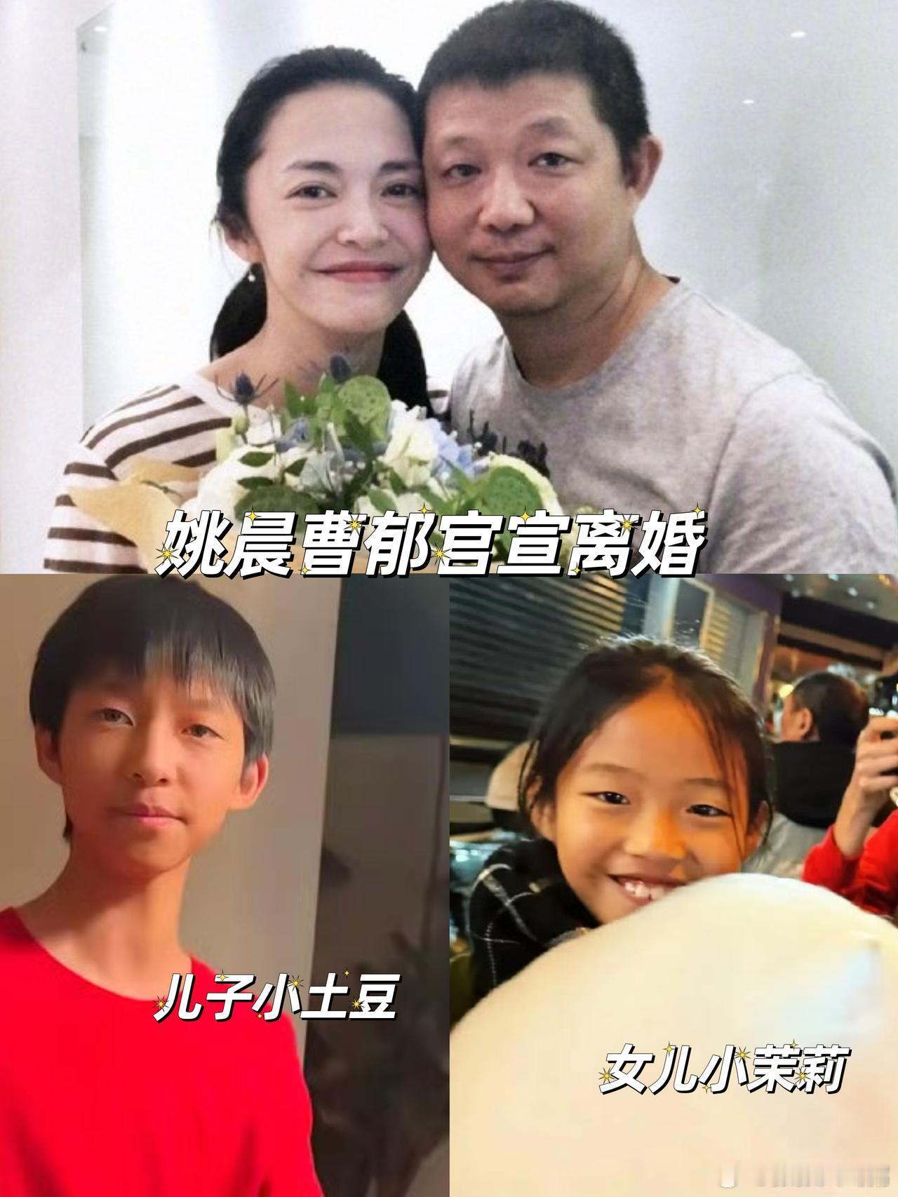 姚晨跟演员凌潇肃有过一段短暂的婚姻，2011年离婚后，姚晨于2012年嫁给摄影师
