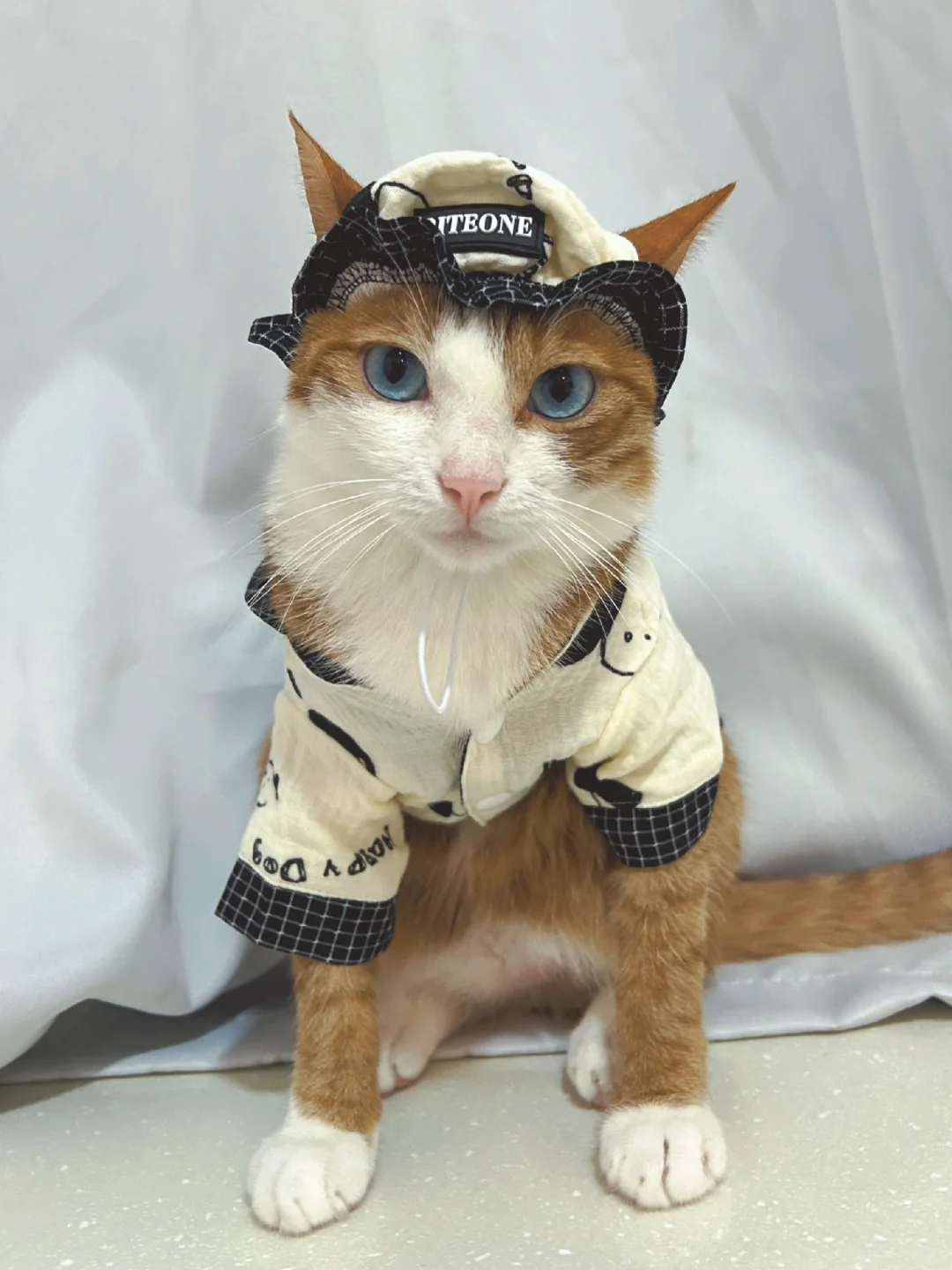 喂！我是花臂猛男！不是软妹！