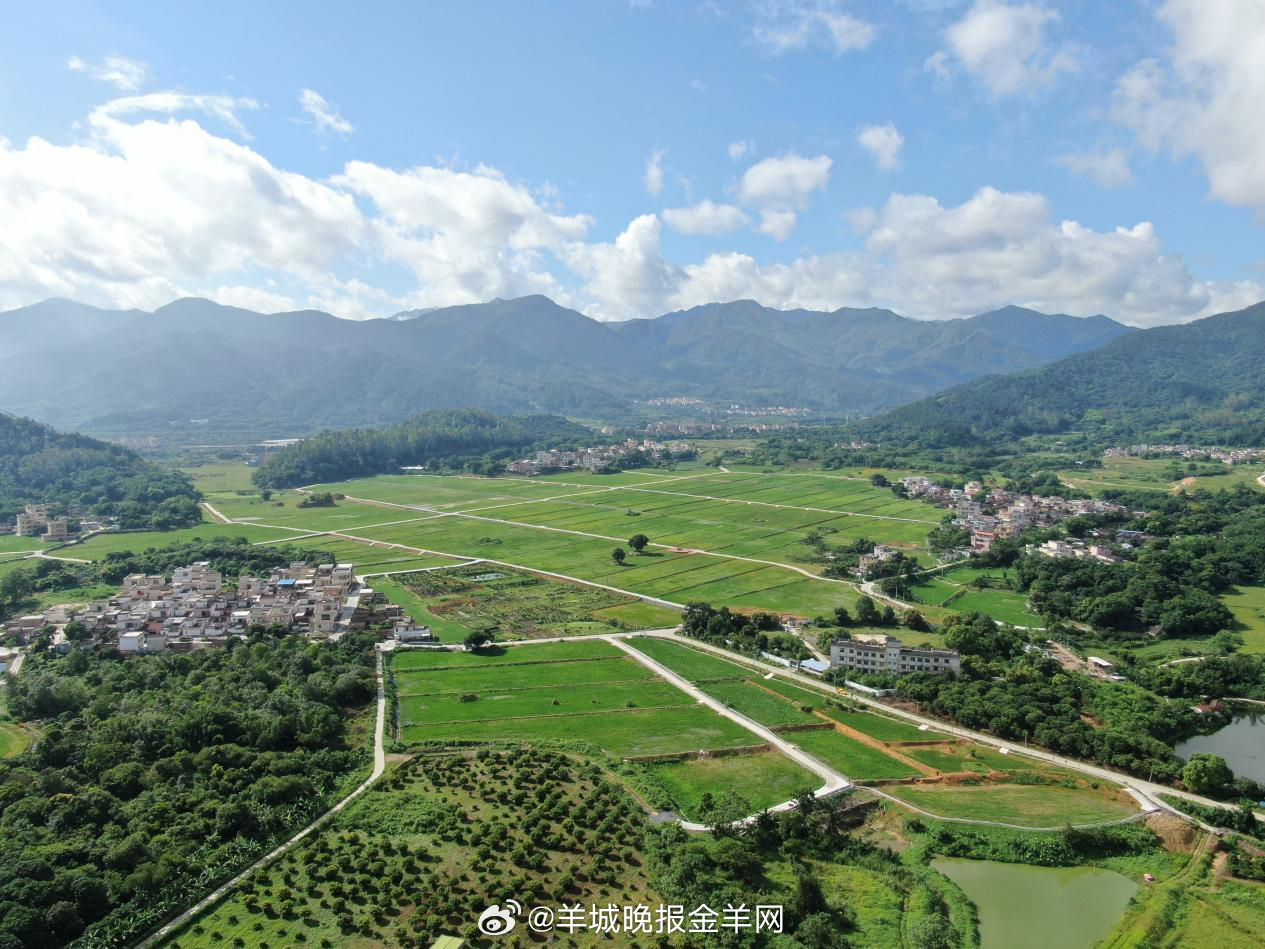 #早安#不必强求步伐迅疾，不必执着前路遥遥，只要始终向着前方，走得慢也好，步子小