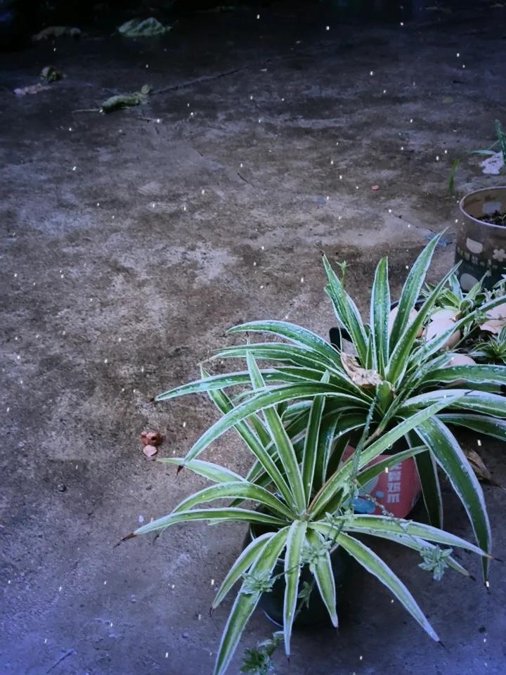 我的今日状态：😁轻松愉快
我这里的天气：🌧下雨