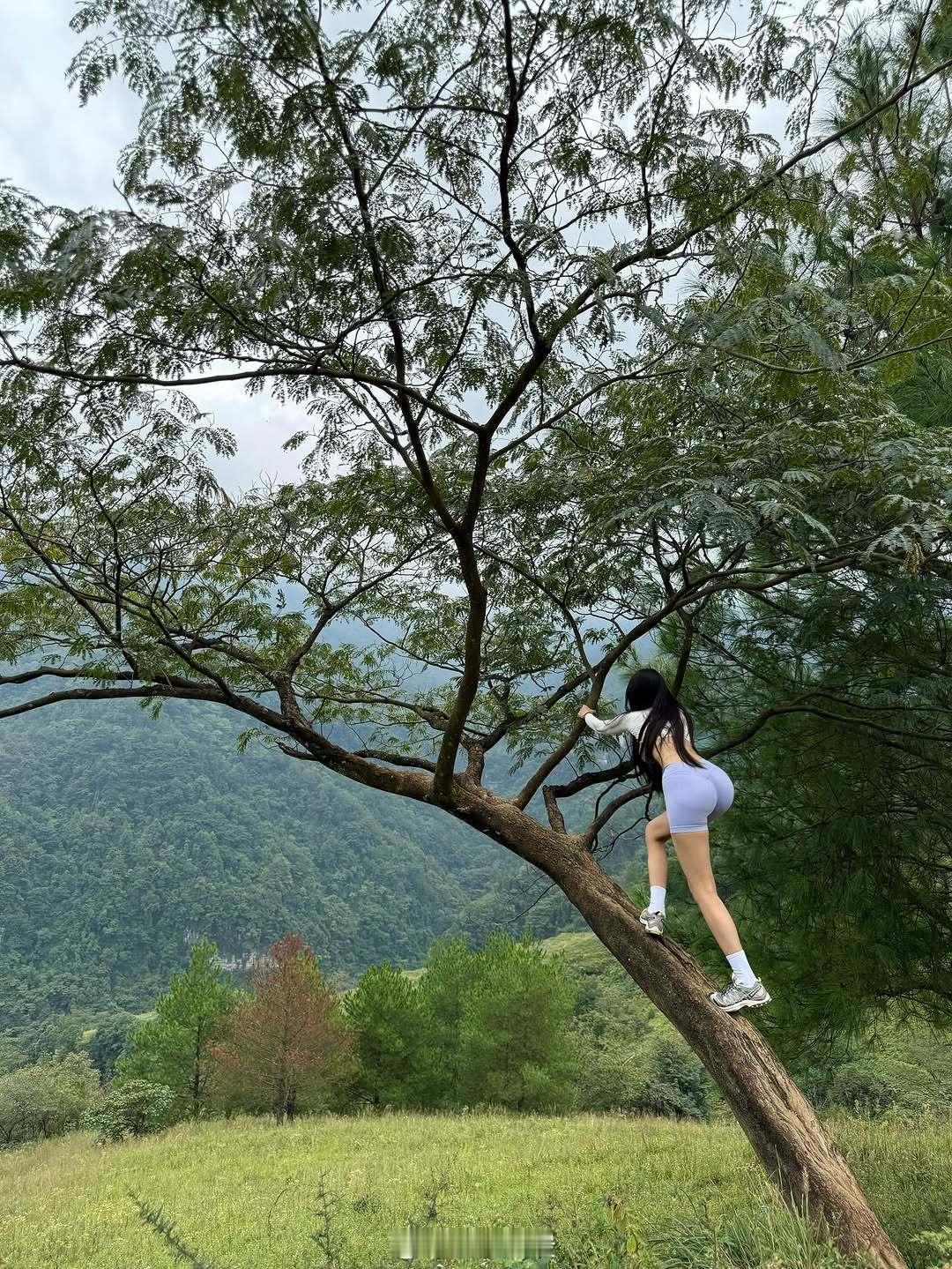 人们容易忘记上一轮、上上一轮或更远的周期波动，每次市场疯狂或恐慌的时候，总是说：
