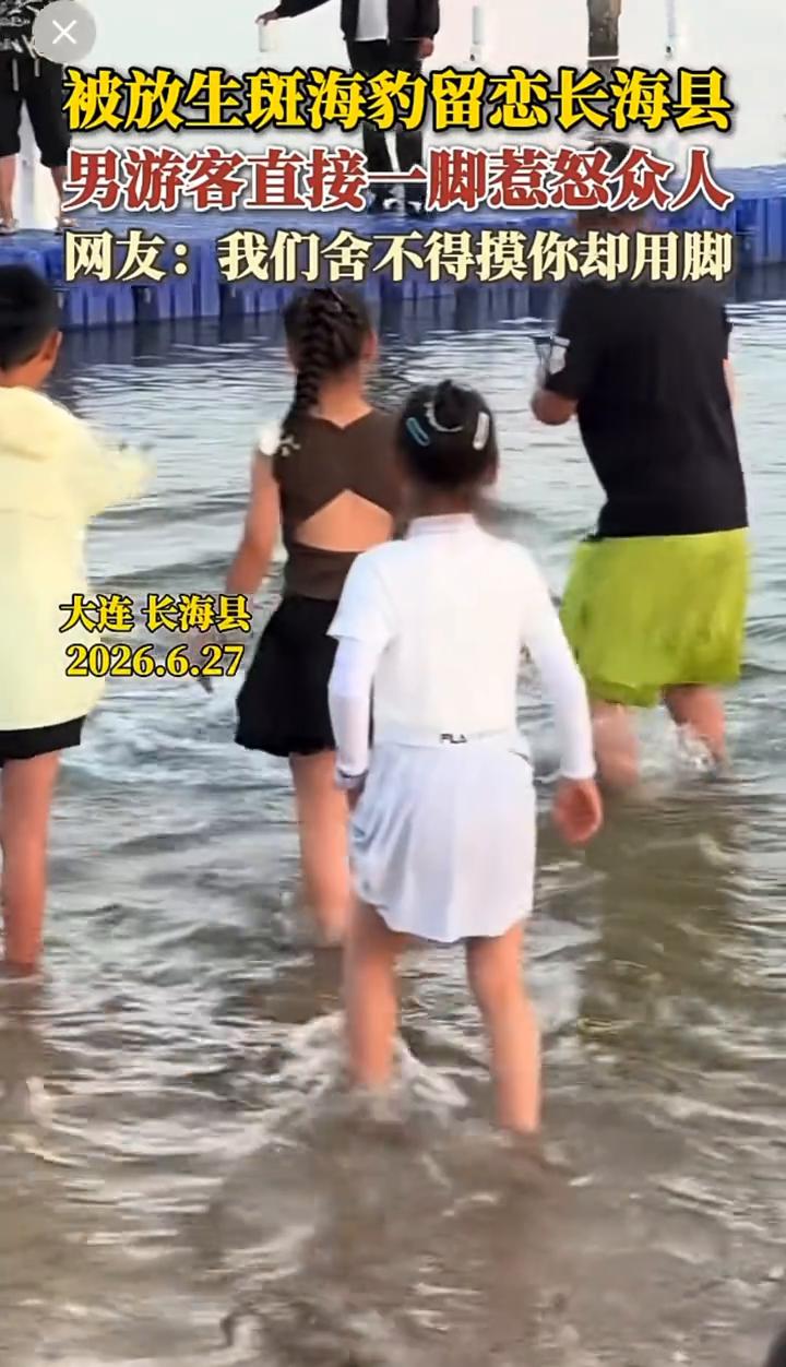 被放生斑海豹留恋长海县，男游客直接一脚惹怒众人。
网友：我们舍不得摸你却用脚。