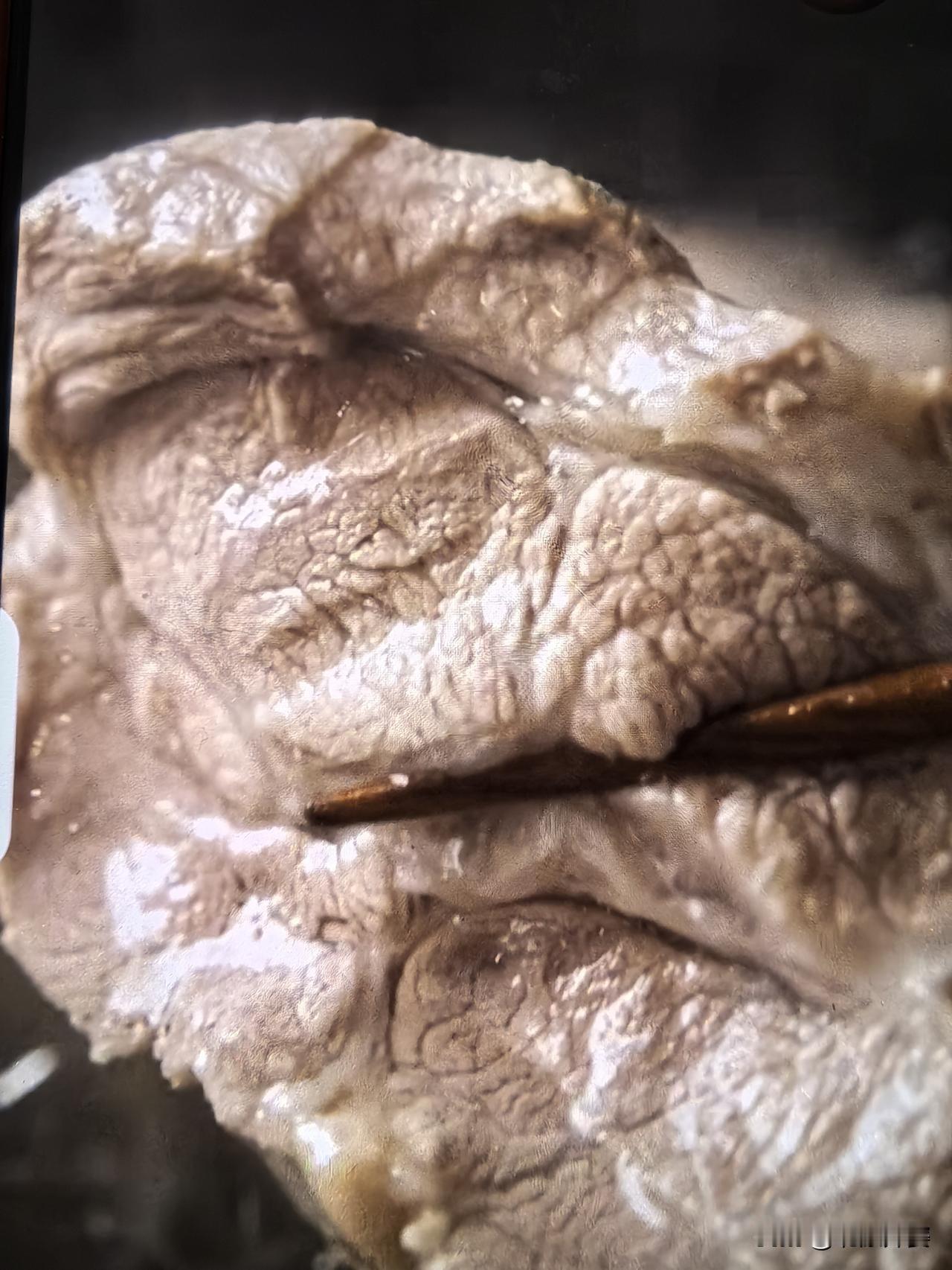 简单的食材，简单的做法，没有过多调味，有荤有素，满足家人的胃
  周末一家六口的