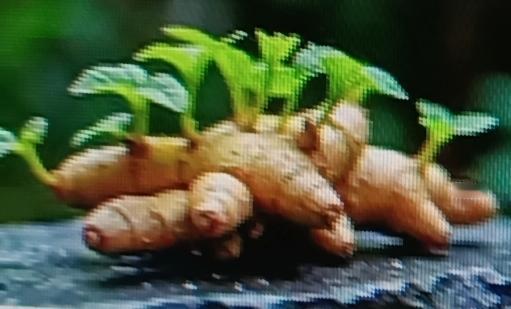 斑点真的太影响颜值了！晒斑、暗沉色斑、雀斑，就像脸上甩不掉的“小阴影”。很多人花