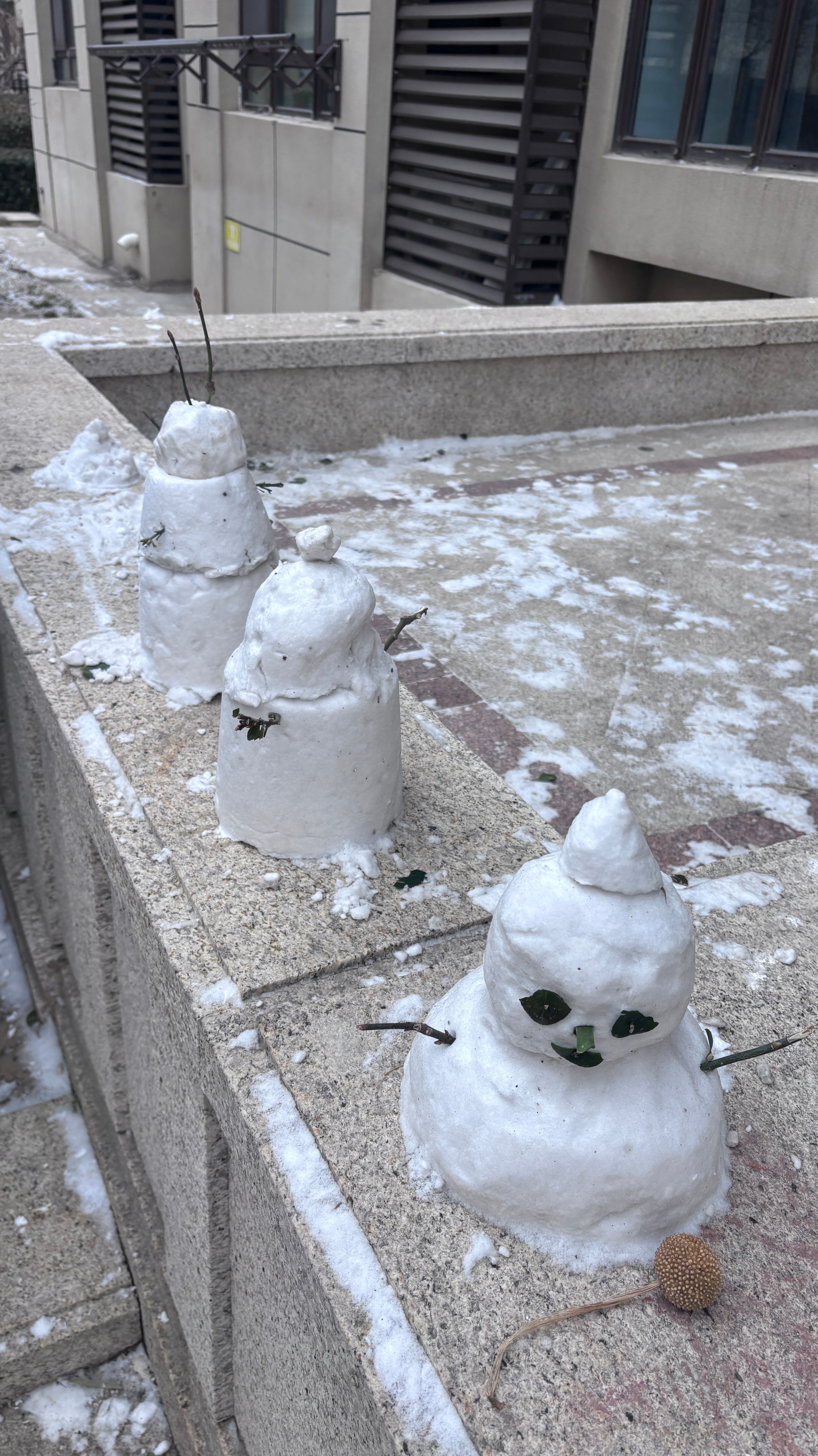 天津第一场雪，已经停了带着豆宝堆了几个雪人，大家给评判一下我堆雪人技术怎么样吧。