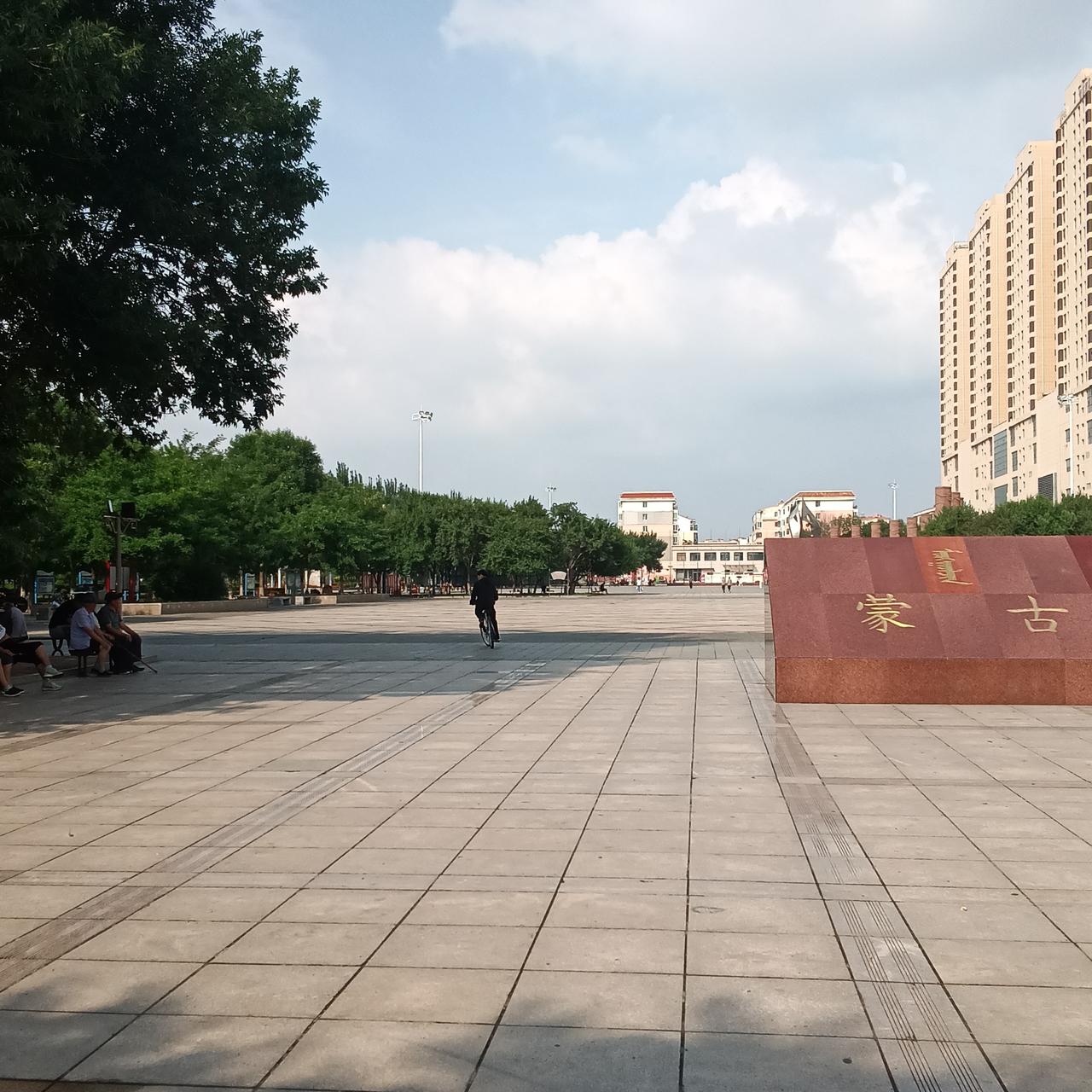我们可以从以下几个核心维度来剖析这个现象：

1. 人口老龄化与“长寿的代价”