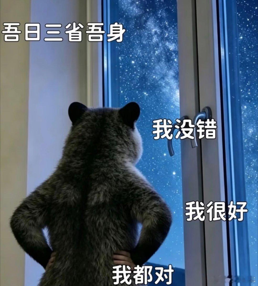 关于出差我忘带硬盘这个事情 我真的绷不住了 怎么办啊朋友们启子的车启子的日常  
