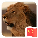 小树热聚影视剧