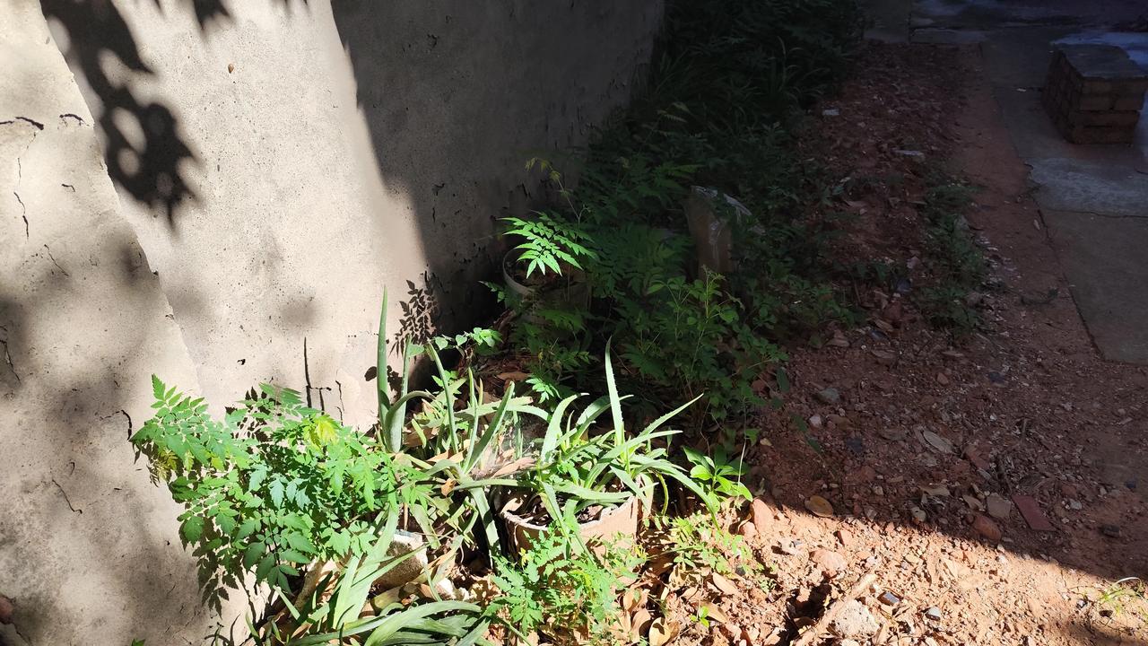 晒图笔记大赛关于光影的故事，总是让人浮想联翩！里面的故事情节往往是根据个人的思维