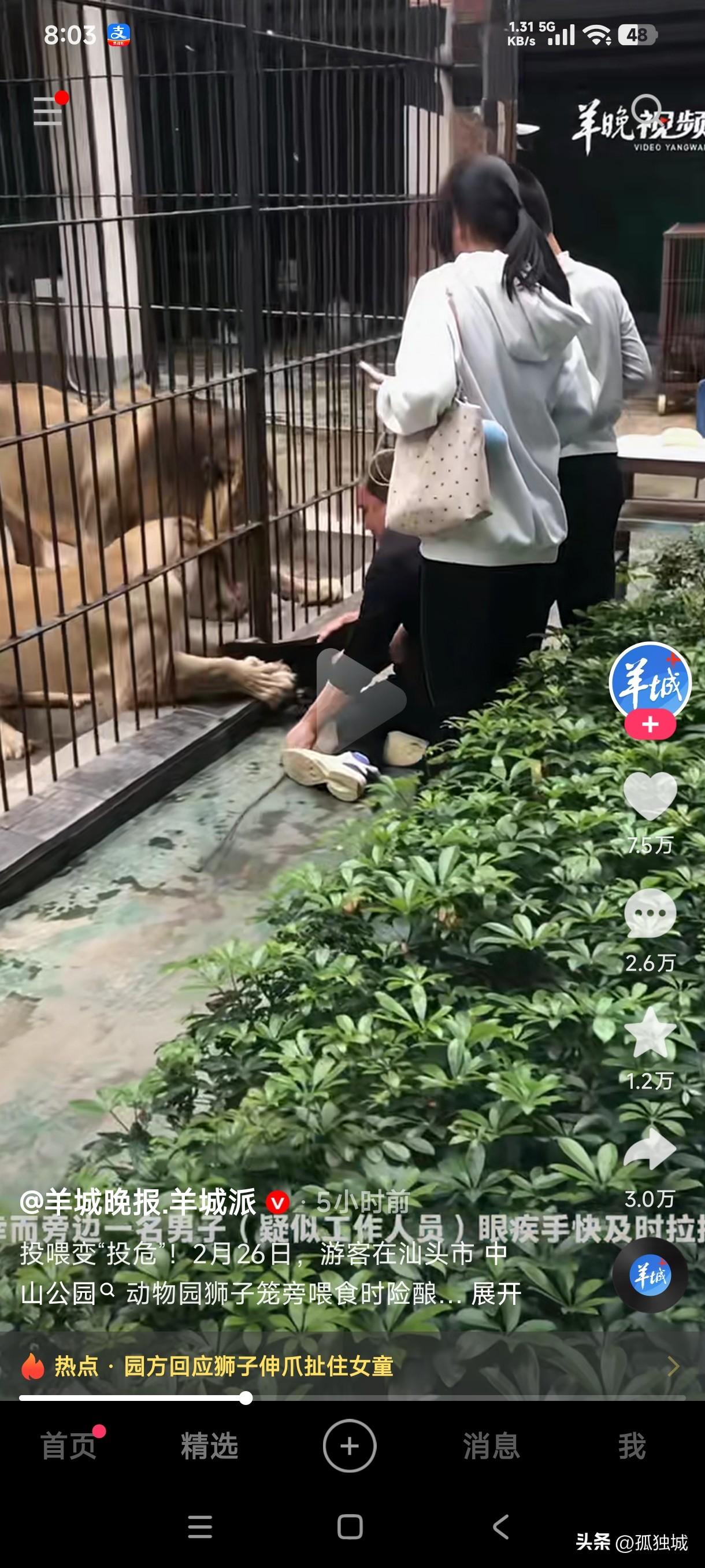 游客在动物园投喂变成投危，这投喂食物不成，差点让狮子给吃了，这一幕看的人真是心惊