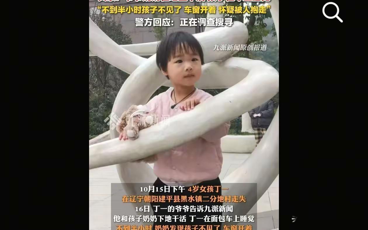 揪心！辽宁4岁女童田间失踪，500余人搜救无果，车窗异常细节引担忧
 
辽宁朝阳