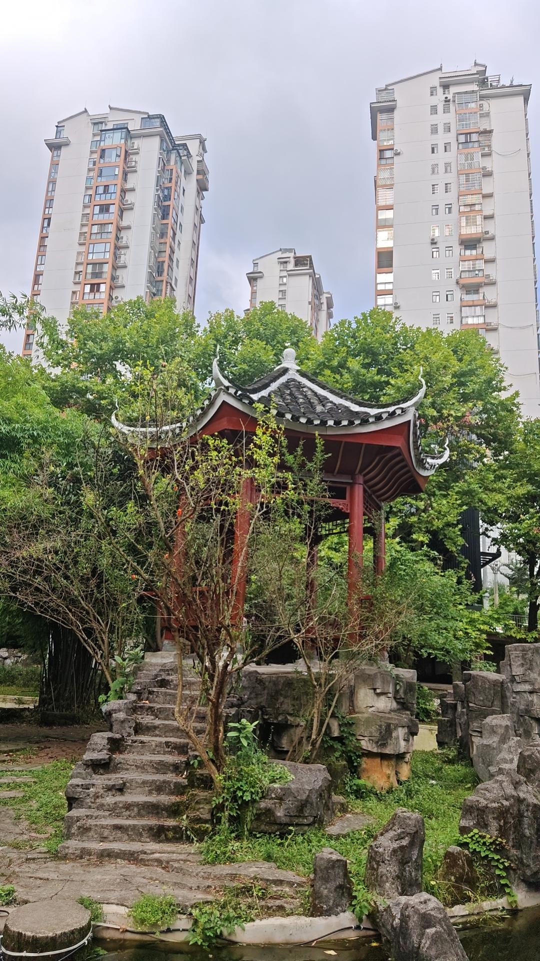 老话说 "一夏无病三分虚"，入秋后你家有什么必喝的汤、必吃的食材来补补身子？是莲