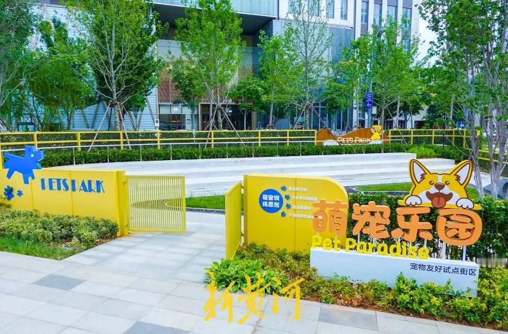 “宠物友好”，我们又该怎样与“宠物”友好？
在所有宣传“宠物友好”的场景中，“狗