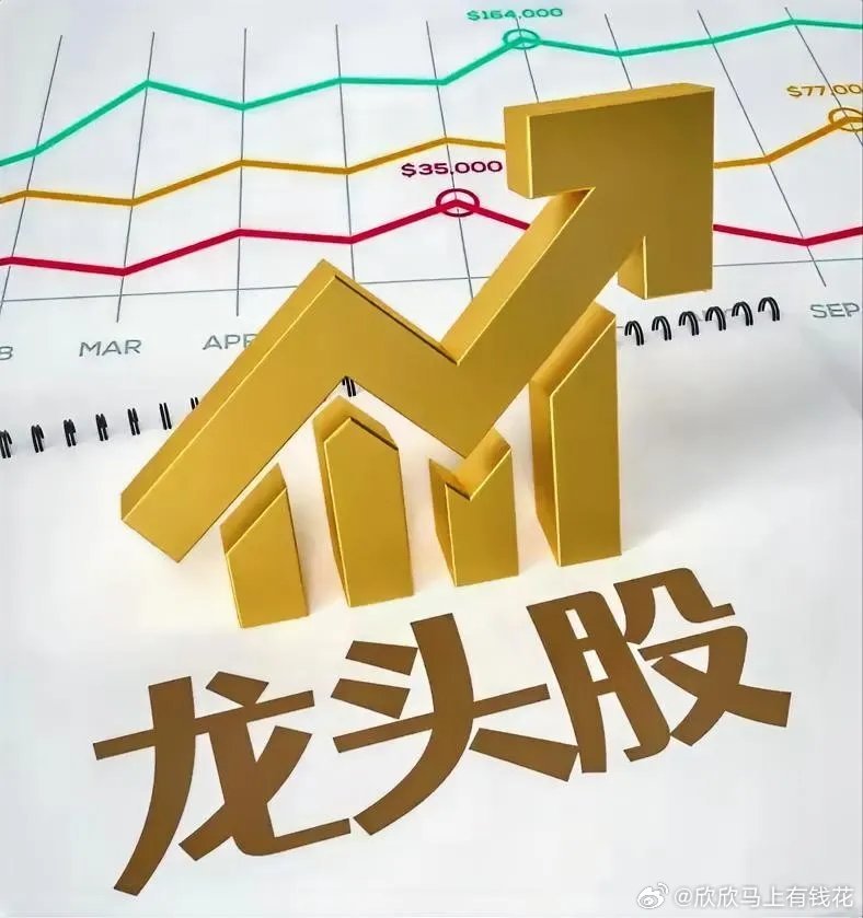 A股电力全细分龙头名单（发电+电网设备）一、水电龙头（稳健高股息）1. 长江电力
