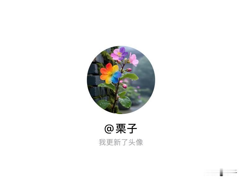 快来看看我新换的头像吧