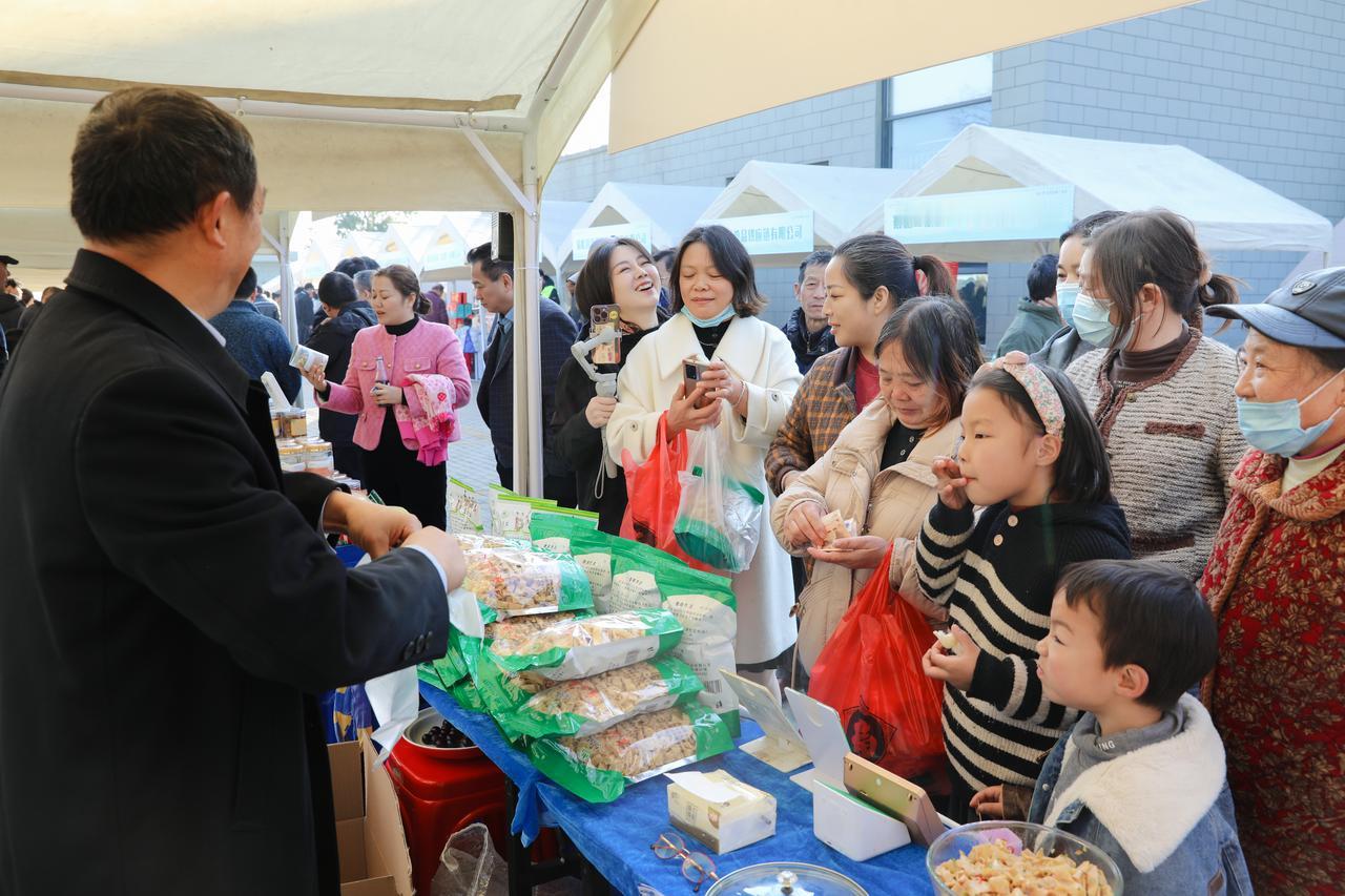 宿松县举办乡村振兴推广活动，通过授旗、入驻电商平台、表彰企业及聘请“网络达人”推