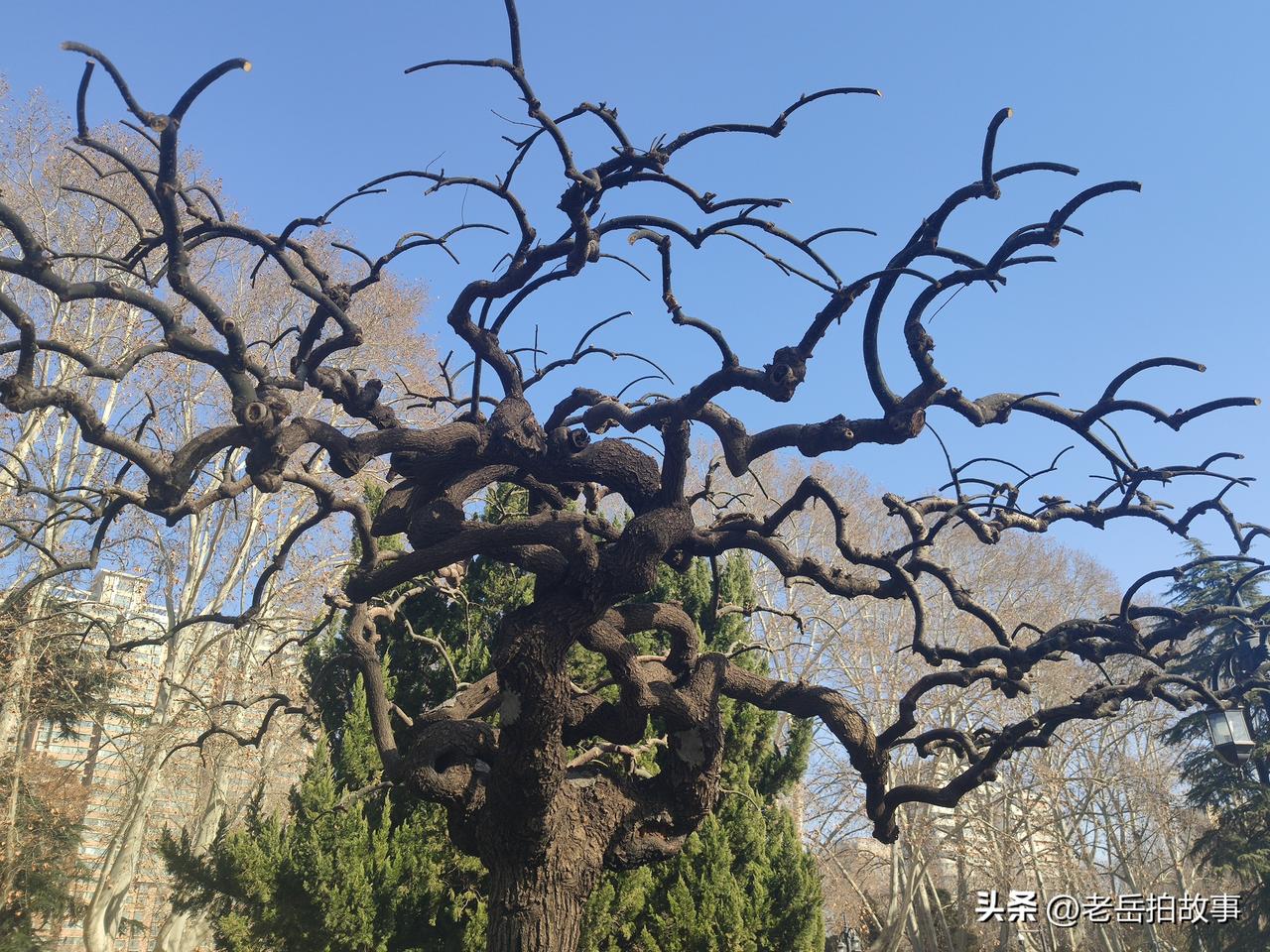 令人尴尬的姓氏:今天晚上几位朋友小聚，其中有一位是大家不熟悉的新人，就有朋友问他