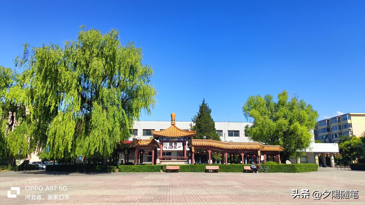 张家口宣化今天的天气真舒服，澄澈透亮的蓝天配着软软的白云，27度不冷不热，微风轻
