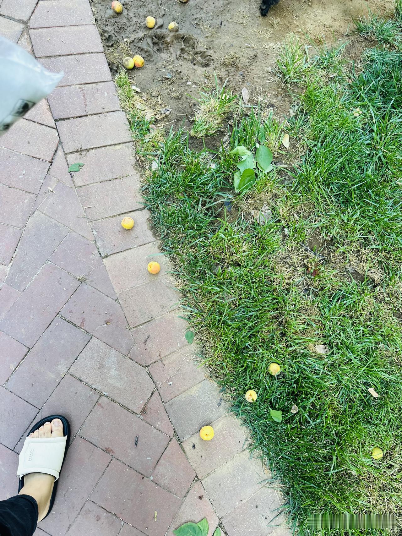 这个问题这四个字我思考了一条路的时间。
真的没思考出来用哪四个字比较合适。
姑且