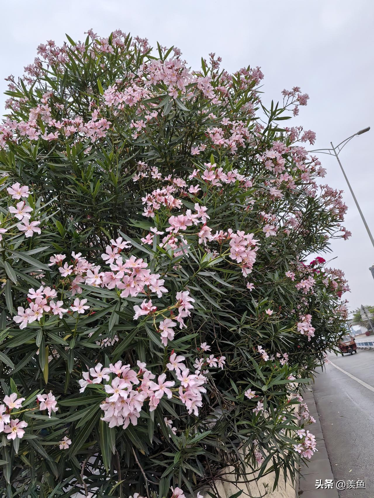 有点儿喜欢头条。。。在这里可以随意发表自己的心情，没有人认识我。。。爱和恨都不会