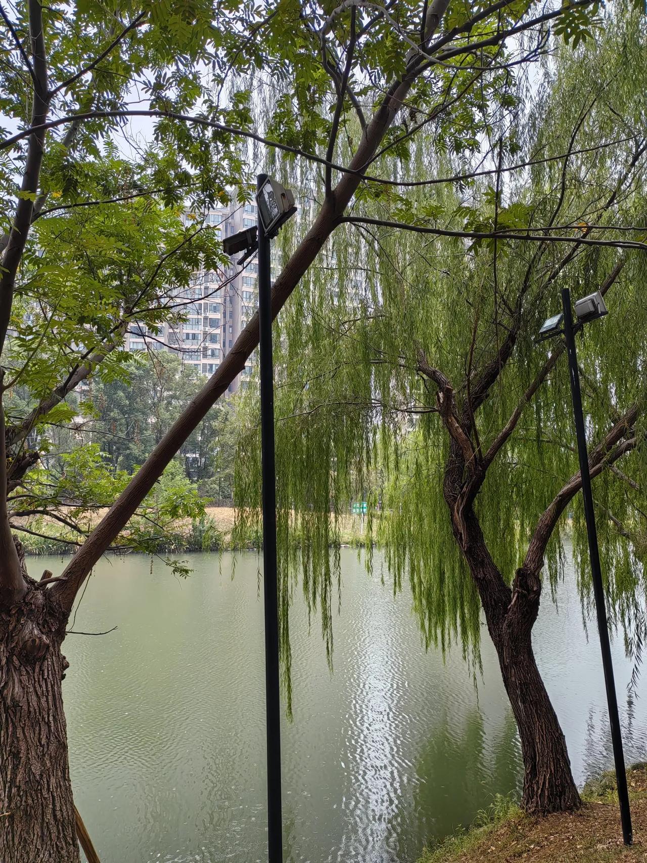 昨天雨中想明白了许多事，
不要奢望队友的陪伴，
也不要奢望队友能上交多少生活费。