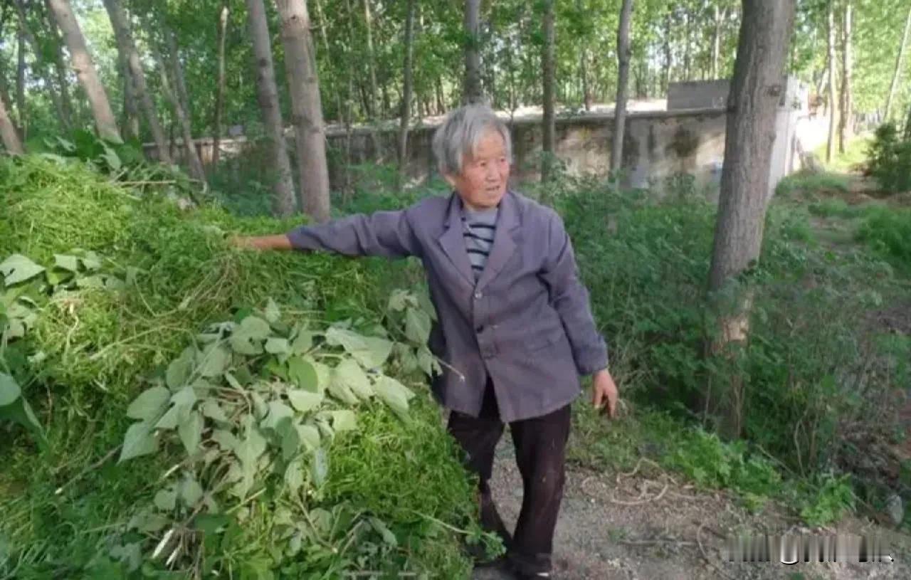 #运动会长寿吗# 
经常听人们说运动会使人身体健康，也会使人寿命延长，是不是真的
