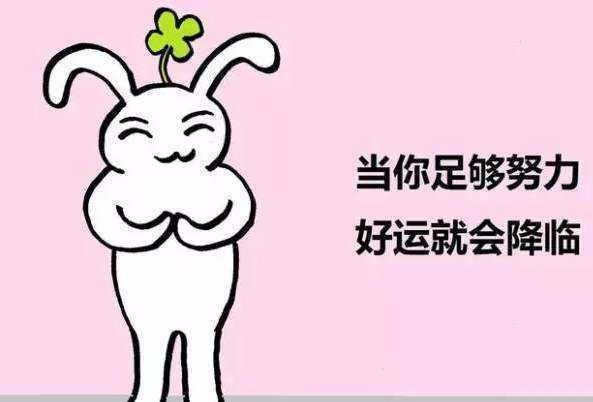 会星座的兔子 转发事事如愿，许愿留言，越努力越幸运，祝你所有事情都会成功！ 